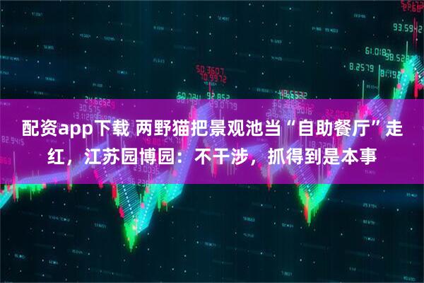 配资app下载 两野猫把景观池当“自助餐厅”走红，江苏园博园：不干涉，抓得到是本事