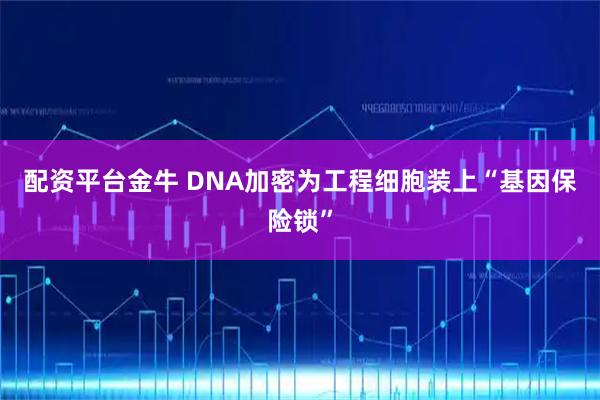 配资平台金牛 DNA加密为工程细胞装上“基因保险锁”
